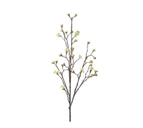 NU PUUR & GROEN Lønnegren Kremfarget | 110 cm