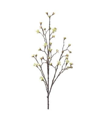 NU PUUR & GROEN Rama de arce color crema | 110 cm