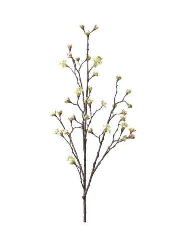 NU PUUR & GROEN Crème Branche d'érable | 110 cm