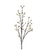NU PUUR & GROEN Esdoorn Tak Creme | 110 cm