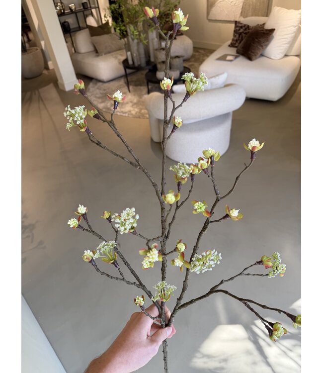 NU PUUR & GROEN Esdoorn Tak Creme | 110 cm