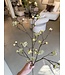 NU PUUR & GROEN Esdoorn Tak Creme | 110 cm