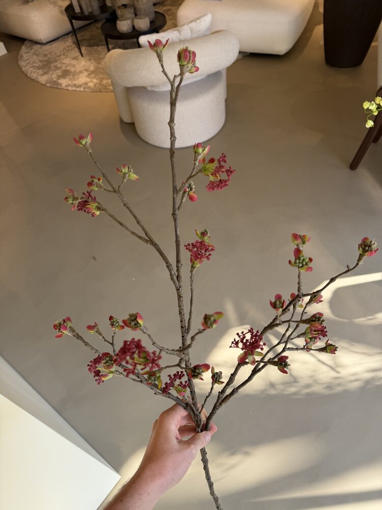 NU PUUR & GROEN Rama de arce burdeos/verde | 110 cm