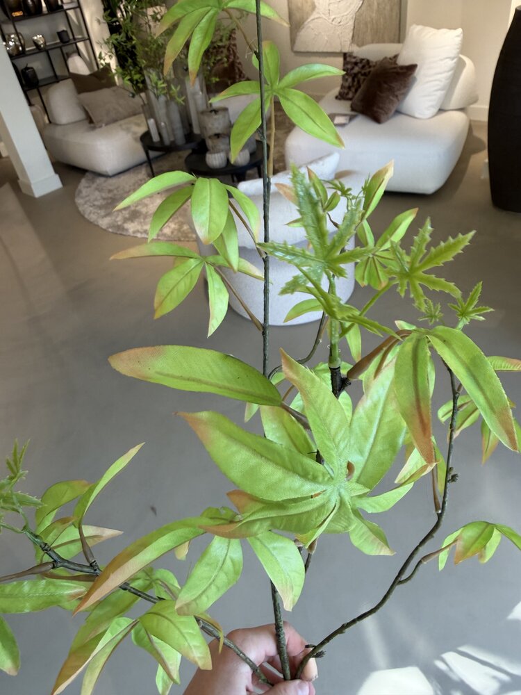 NU PUUR & GROEN Schefflera-gren grønn | 117 cm