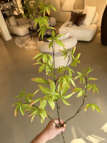 NU PUUR & GROEN Rama de Schefflera Verde | 117 cm