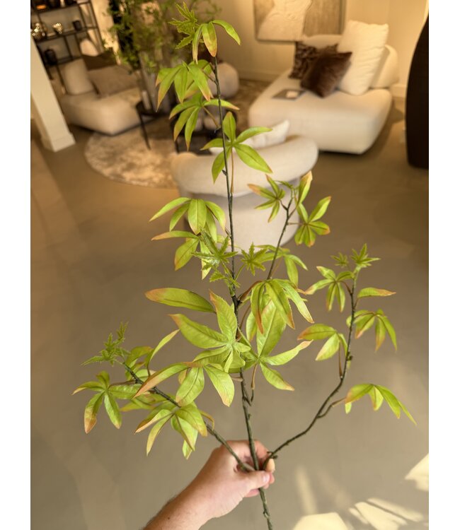 NU PUUR & GROEN Branche de Schefflera Verte | 117 cm