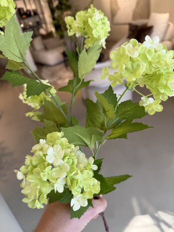 NU PUUR & GROEN Ramo di palla di neve verde | 85 cm