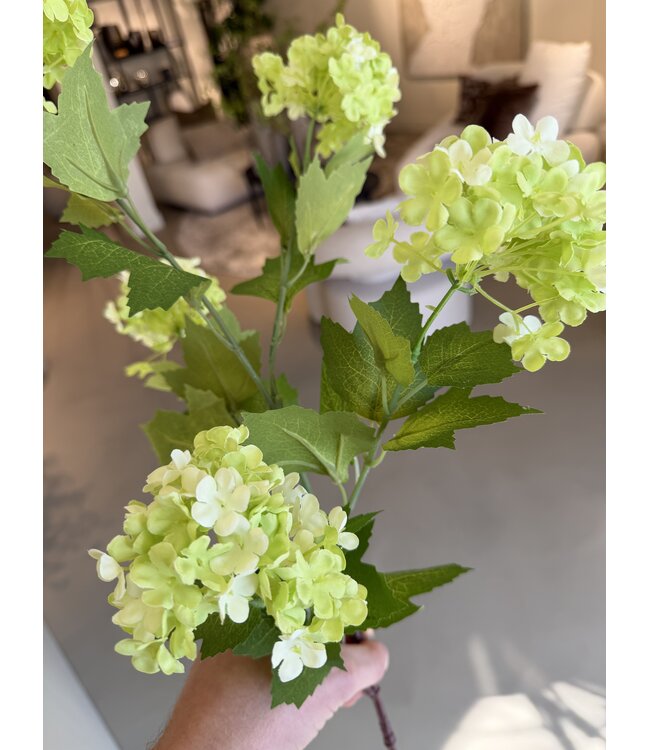 NU PUUR & GROEN Sneeuwbal Tak Groen | 85 cm