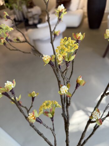 NU PUUR & GROEN Esdoorn Tak Geel | 110 cm