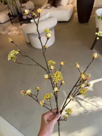 NU PUUR & GROEN Lønnegren gul | 110 cm