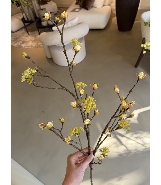 NU PUUR & GROEN Lønnegren gul | 110 cm
