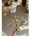 NU PUUR & GROEN Gelber Ahornzweig | 110 cm