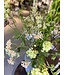 NU PUUR & GROEN Kunstbloemen boeket "Maart Special"
