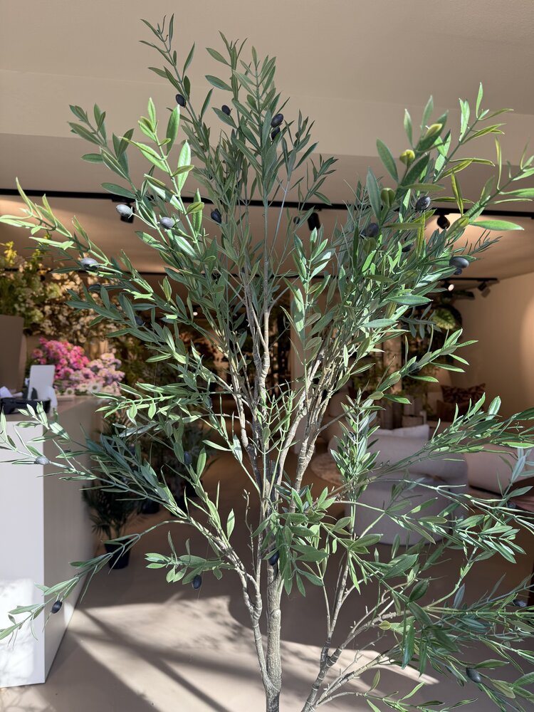 NU PUUR & GROEN Kunstplant voor buiten - Olijfboom 175 cm - UV-bestendig