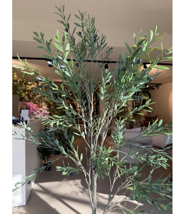 NU PUUR & GROEN Pianta artificiale per esterni - Ulivo 175 cm - Resistente ai raggi UV