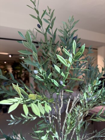 NU PUUR & GROEN Kunstig plante for utendørs bruk - Oliventre 175 cm - UV-bestandig