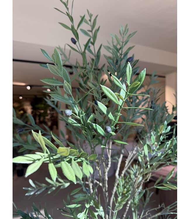 NU PUUR & GROEN Kunstplant voor buiten - Olijfboom 175 cm - UV-bestendig