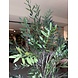 NU PUUR & GROEN Kunstplant voor buiten - Olijfboom 175 cm - UV-bestendig