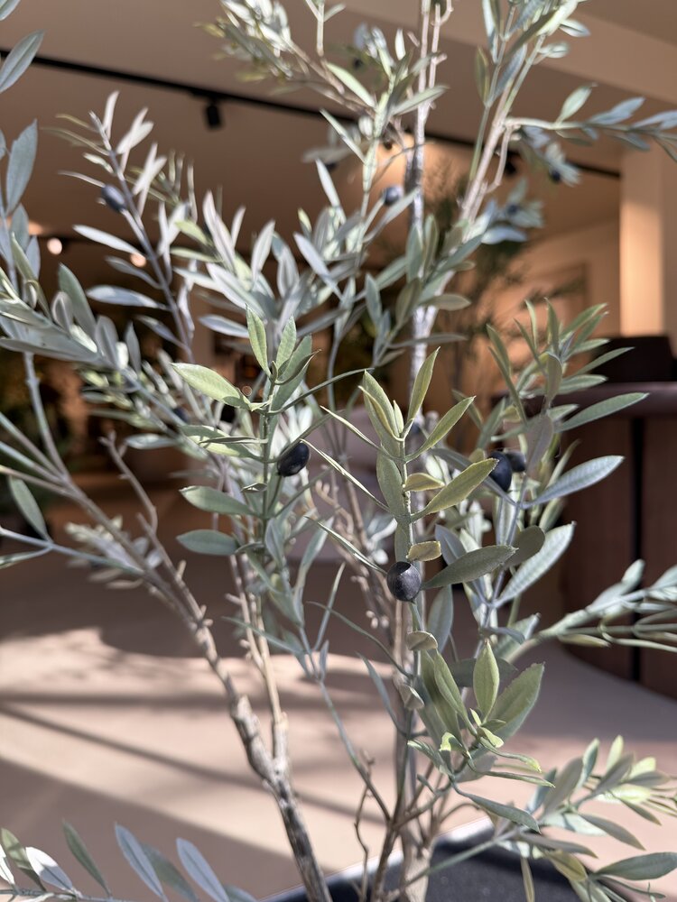 NU PUUR & GROEN Künstliche Pflanze für den Außenbereich – Olivenbaum 140 cm – UV-beständig
