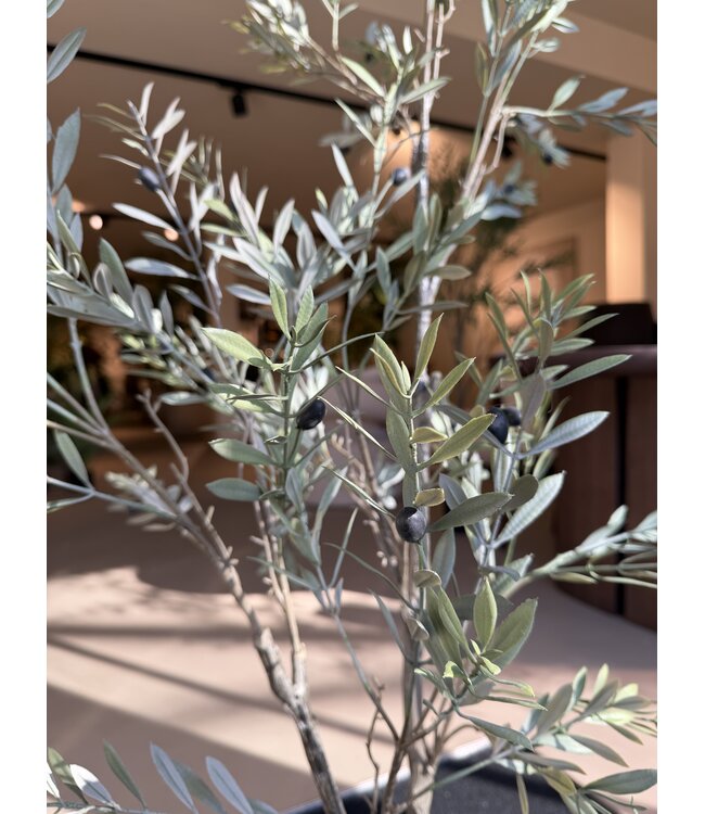 NU PUUR & GROEN Pianta artificiale per esterni - Ulivo 140 cm - Resistente ai raggi UV
