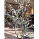 NU PUUR & GROEN Plante artificielle d'extérieur - Olivier de 140 cm - Résistant aux UV