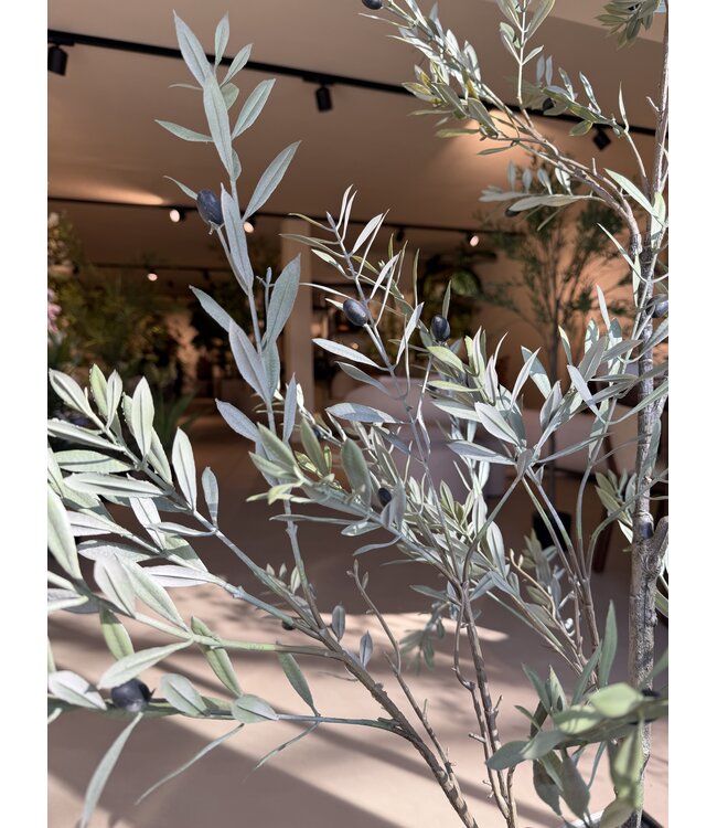 NU PUUR & GROEN Künstliche Pflanze für den Außenbereich – Olivenbaum 140 cm – UV-beständig