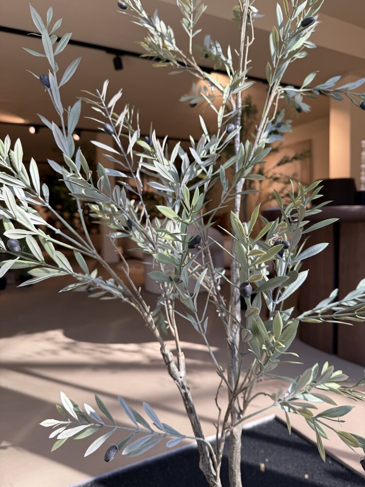 NU PUUR & GROEN Kunstplant voor buiten - Olijfboom 140 cm - UV-bestendig