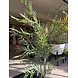NU PUUR & GROEN Kunstplant voor buiten - Bamboe 175 cm - UV-bestendig
