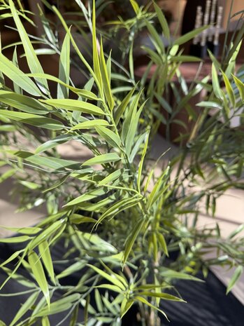 NU PUUR & GROEN Pianta artificiale da esterno - Bambù 175 cm - Resistente ai raggi UV