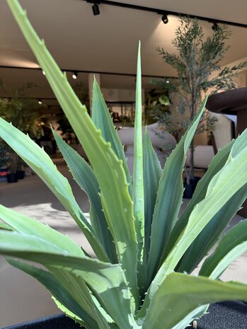 NU PUUR & GROEN Kunstig plante for utendørs bruk - Agave 70 cm - UV-bestandig