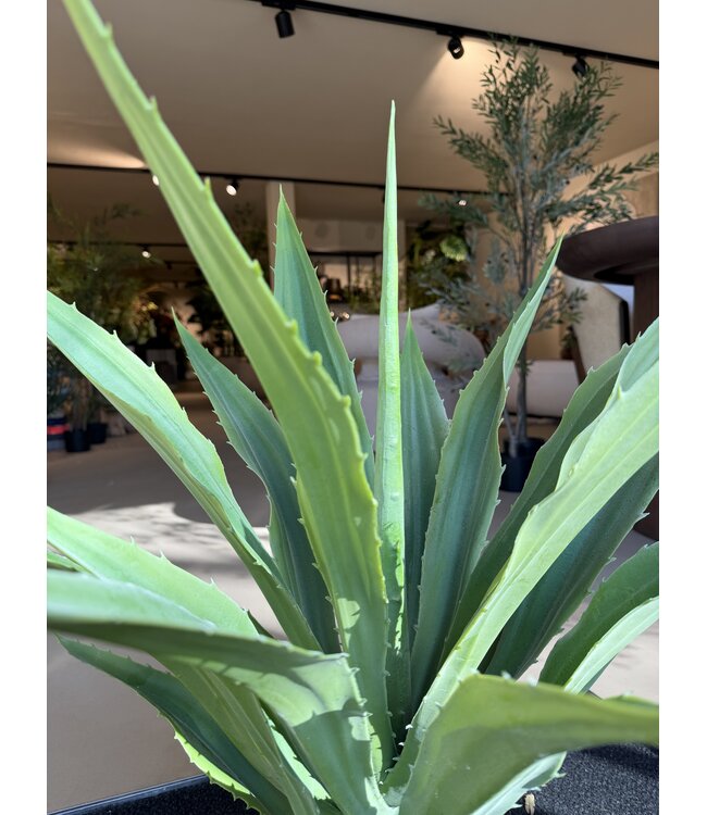 NU PUUR & GROEN Planta artificial para exterior - Agave 70 cm - Resistente a los rayos UV