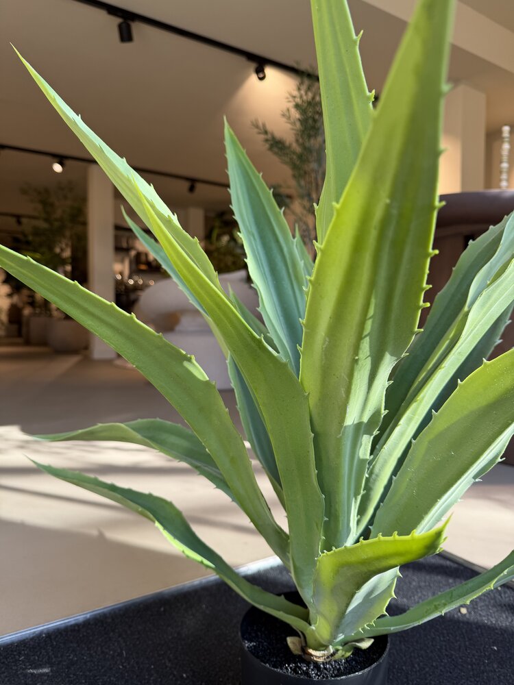 NU PUUR & GROEN Planta artificial para exterior - Agave 70 cm - Resistente a los rayos UV