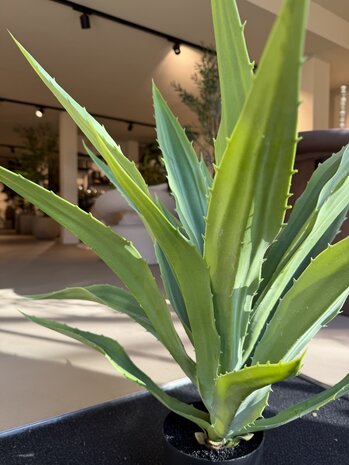 NU PUUR & GROEN Plante artificielle d'extérieur - Agave 70 cm - Résistante aux UV