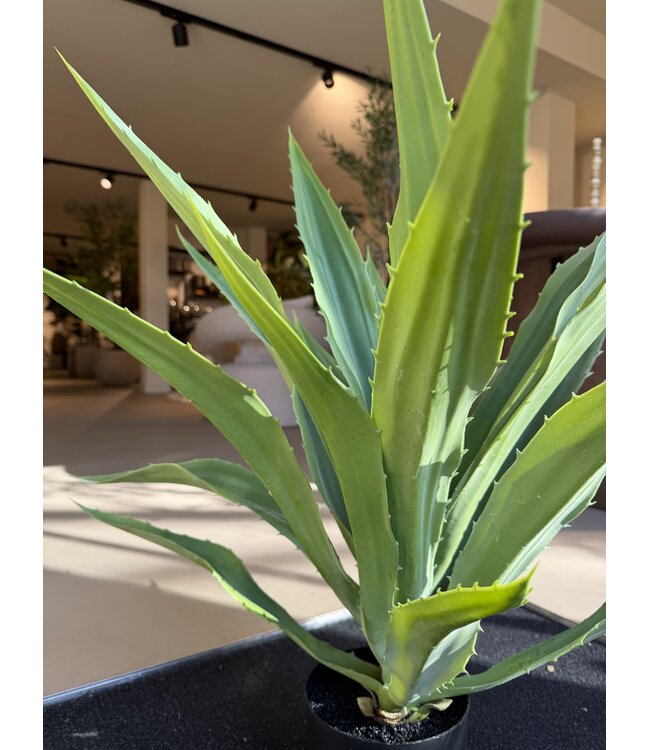 NU PUUR & GROEN Künstliche Pflanze für den Außenbereich – Agave 70 cm – UV-beständig