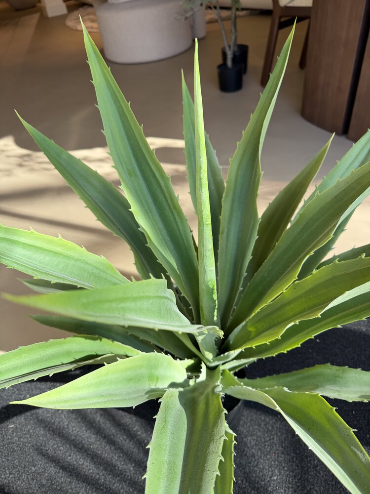 NU PUUR & GROEN Kunstplant voor buiten - Agave 70 cm - UV-bestendig