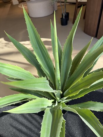 NU PUUR & GROEN Plante artificielle d'extérieur - Agave 70 cm - Résistante aux UV
