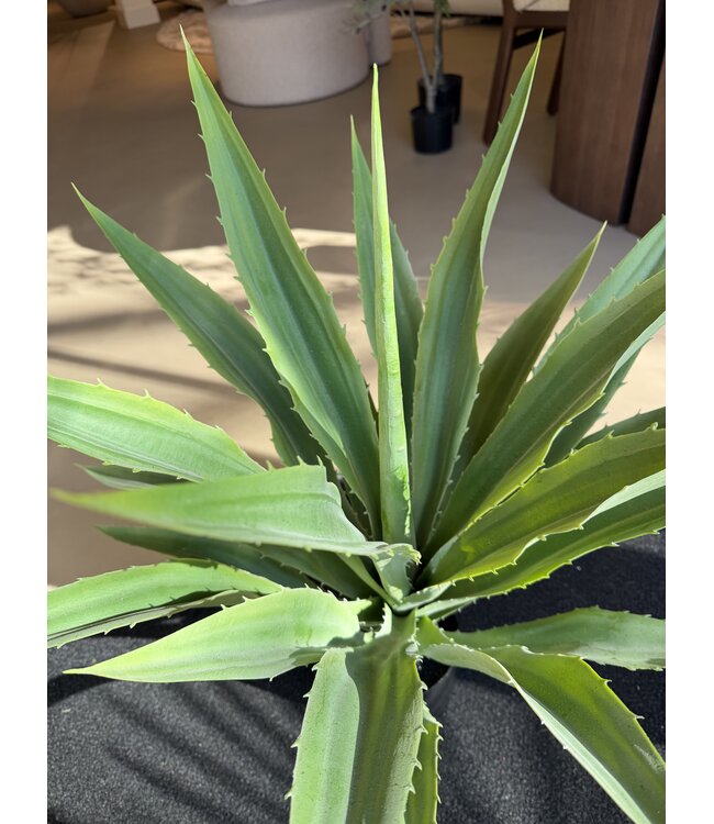 NU PUUR & GROEN Kunstplant voor buiten - Agave 70 cm - UV-bestendig