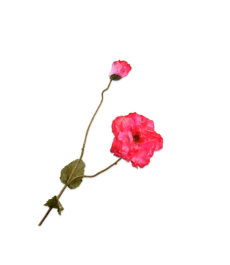 SILK-KA Valmuegren Skjønnhet RT | 109 cm