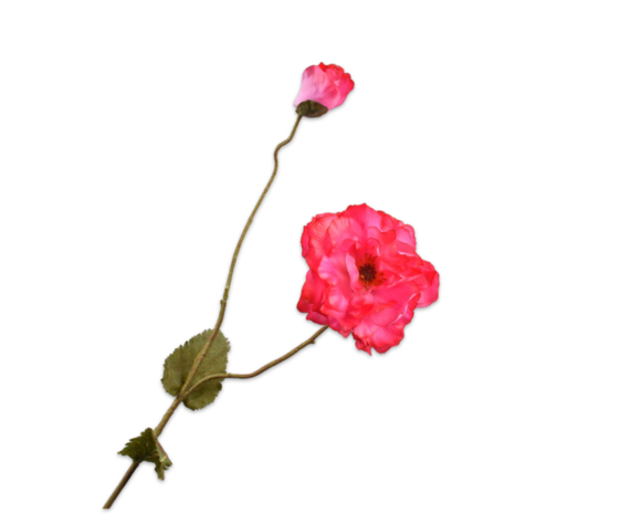 SILK-KA Belleza de rama de amapola RT | 109 cm