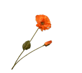 SILK-KA Mohnzweig Orange RT | 74 cm