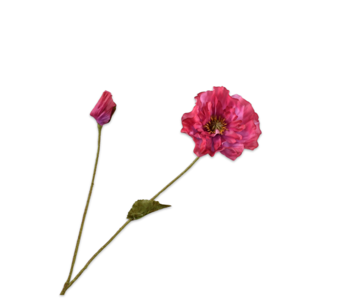 SILK-KA Valmuegren Skjønnhet RT | 74 cm