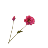 SILK-KA Poppy Branch Beauty RT | 74 cm