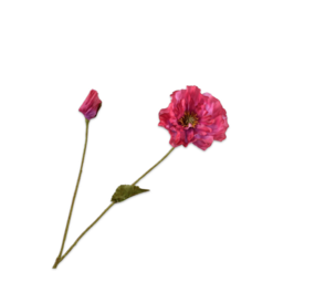 SILK-KA Valmuegren Skjønnhet RT | 74 cm