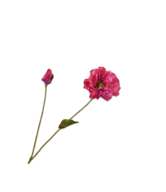 SILK-KA Klaproos Tak Beauty RT | 74 cm