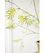 SILK-KA Mimosa Tak Groen | 125 cm
