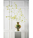 SILK-KA Branche de mimosa verte | 125 cm
