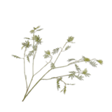 SILK-KA Ramo di mimosa verde | 125 cm