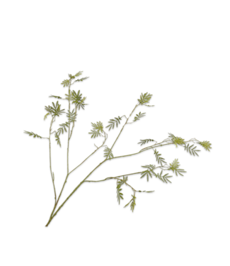 SILK-KA Mimosa Branch Green | 125 cm