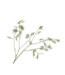 SILK-KA Mimosa Tak Groen | 125 cm