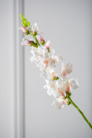 SILK-KA Leeuwebek Creme/Roze | 81 cm